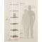 Narrow 6 Tier Bookshelf Tall Bookcase Honey Brown-Cloud White Industrial Style Storage Shelf Steel Frame Space Saving Living Room Bedroom